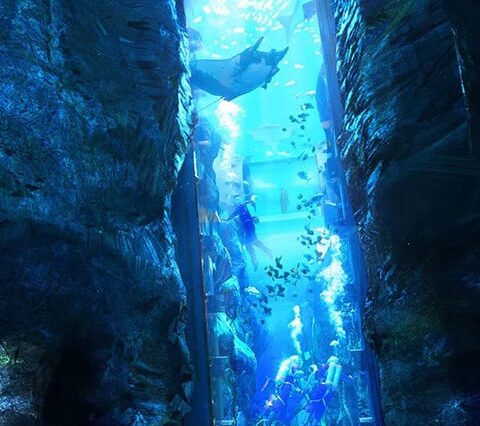 SeaWorld Abu Dhabi