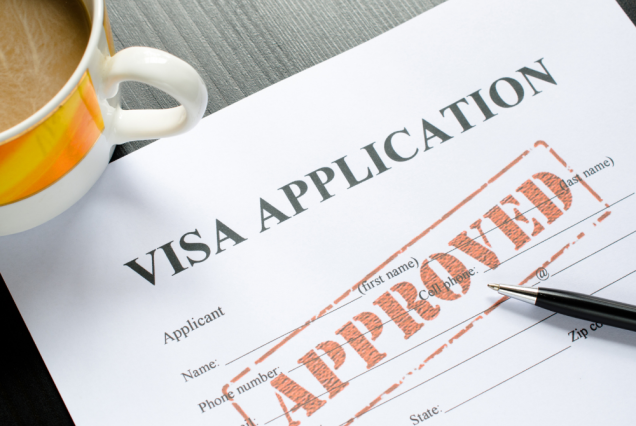 Visa Inquiry